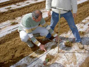 conseil hebdomadaire de challenge agriculture